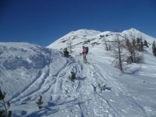 Uscita dal bosco