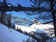 Nel bosco