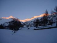 Creusa orintale in rosa...