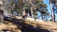 salendo nel bosco inziale poco oltre Pra Catinat (30-12-2012)