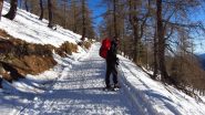 Davide in salita lungo la stradina che porta verso il Rifugio Selleries (30-12-2012)