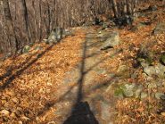 La mulattiera ripulita dal fogliame