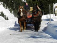 carrozza-slitta trainata dai cavalli