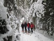 bellissimo tratto nel bosco