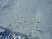 Scritto da qualcuno, con l'augurio che valga x tutti...