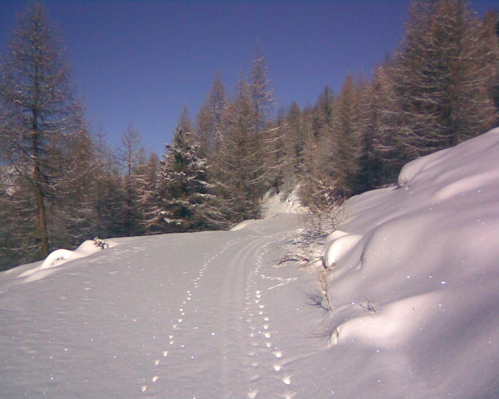 Inizio del percorso a mezza costa