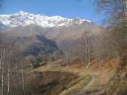 Il Verzel alla partenza