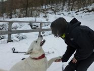 complimenti finali ... brava aottima gita