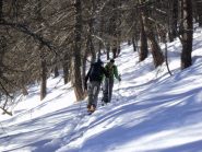 partenza nel bosco