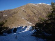 la dorsale di salita all'antecima e al Magiabò innevato, viste dal colle quota 1450 circa
