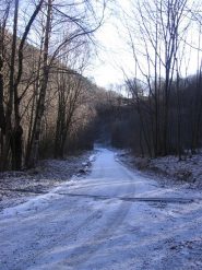 Molino (verso Frassinere)