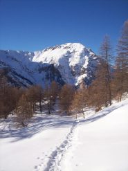 Il ritorno