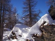 Scorcio lungo il sentiero