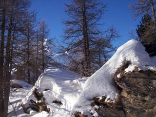 Scorcio lungo il sentiero