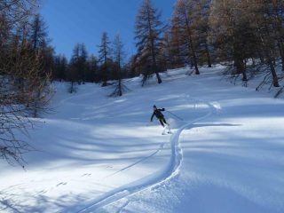 Powder