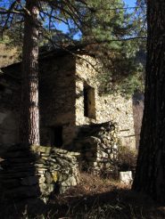 Mardotiglio