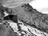 Cima Busiera dall'alpe Almini 