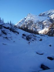 Ingresso nel bosco