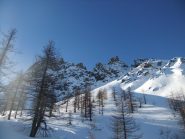 Uscita dal bosco con canale di salita in vista