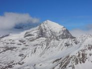 Leone visto dalla cima