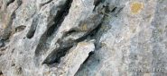 La roccia delle 