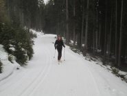 bel tratto nel bosco