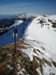 cresta pelata