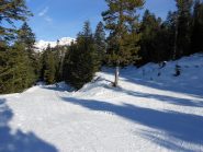 la fine delle piste del bois