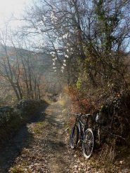 da testico verso il Pizzo