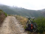 ecco la dorsale del balau