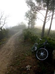 foschie sul sentiero che scende dal poggio brea