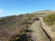 finalmente sulla costa Tendeun verso Diano