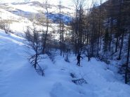 parte iniziale  nel bosco