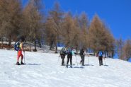 salendo verso il boschetto di larici (5-1-2013)