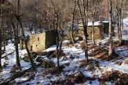 alcuni vecchi gias nel bosco sopra Danna (5-1-2013)