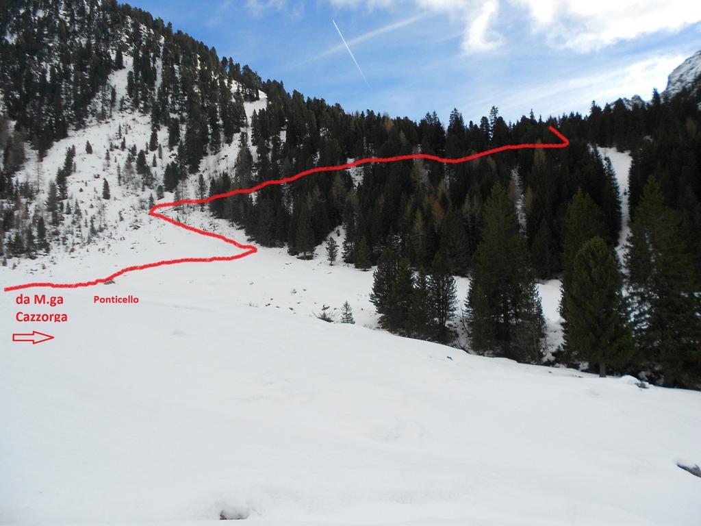 dopo la m.ga Cazzorga, prima del bosco