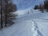 Farina su fondo duro