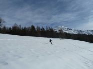 Bellissima sui prati