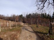 caldi colori invernali! 