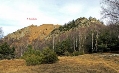 P. Costafiorita dal Colle della Bassa