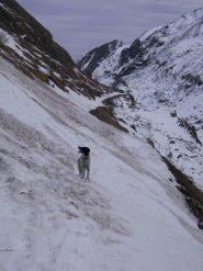Diana sul traverso nel tratto finale
