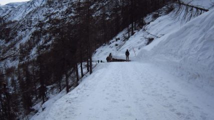 Stradina...velluto fino a Balme!!!