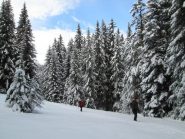per fortuna si entra nel bosco...