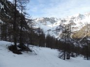 panorama verso ovest
