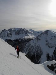 ultime gucie delicate