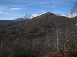 Ora è più vicina