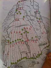 Schema della Placconata dei Serpenti: 