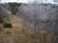 galaverna al col Pra Lorenzo