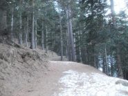 una parte della stradina senza neve