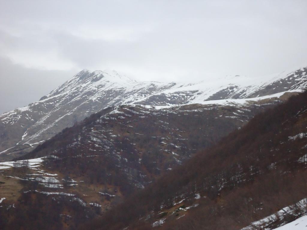 la Bisalta